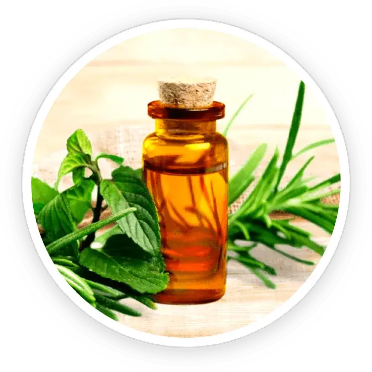 kerassentials ingredients